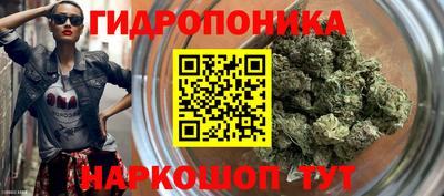 гидропоника Новокубанск