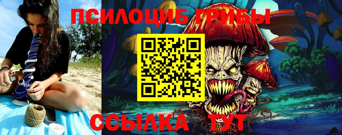 Псилоцибиновые грибы Psilocybe Ревда