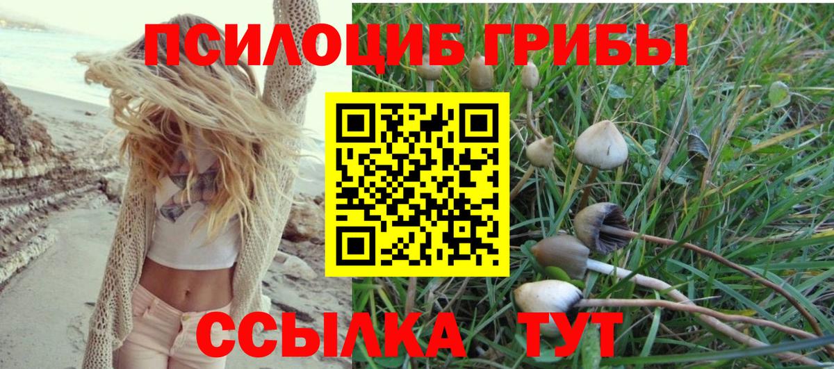 Ревда  Псилоцибиновые грибы прущие грибы  Вход с VPN  Псилоцибиновые грибы Magic Shrooms 